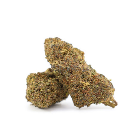 GRAPE & CREAM FLOARE THCA