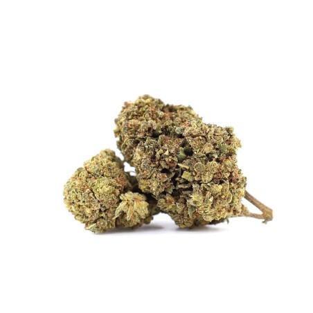MR NICE 30% FLOARE 10-OH+ - alt