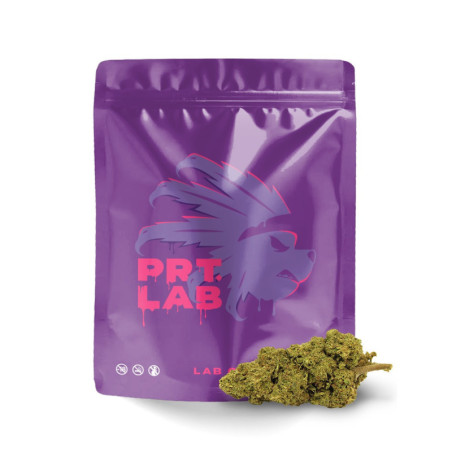 PURPLE LAB ONE FLOARE PRT LAB