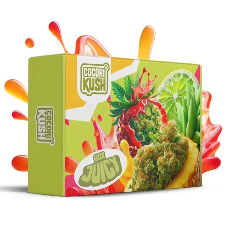 JUICY BOX 8 FLORI CBD COCORIKUSH