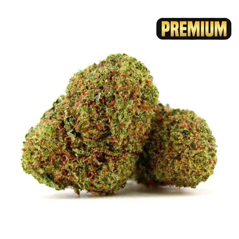 NORTH THUNDERFUCK FLEUR COCORIKUSH CBD