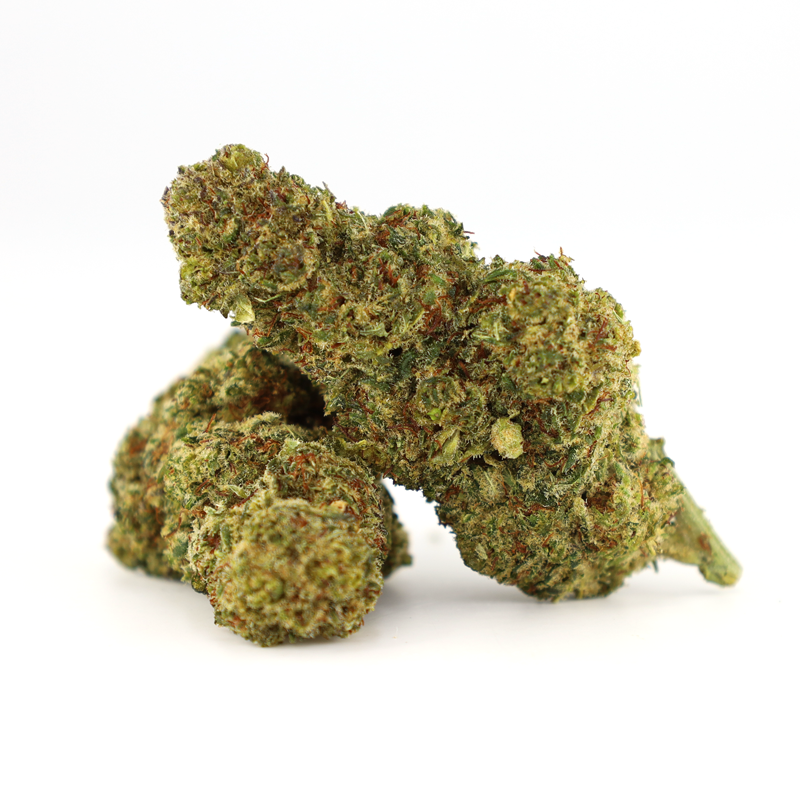 OCEAN BEACH INFUSED FLEUR COOKIES