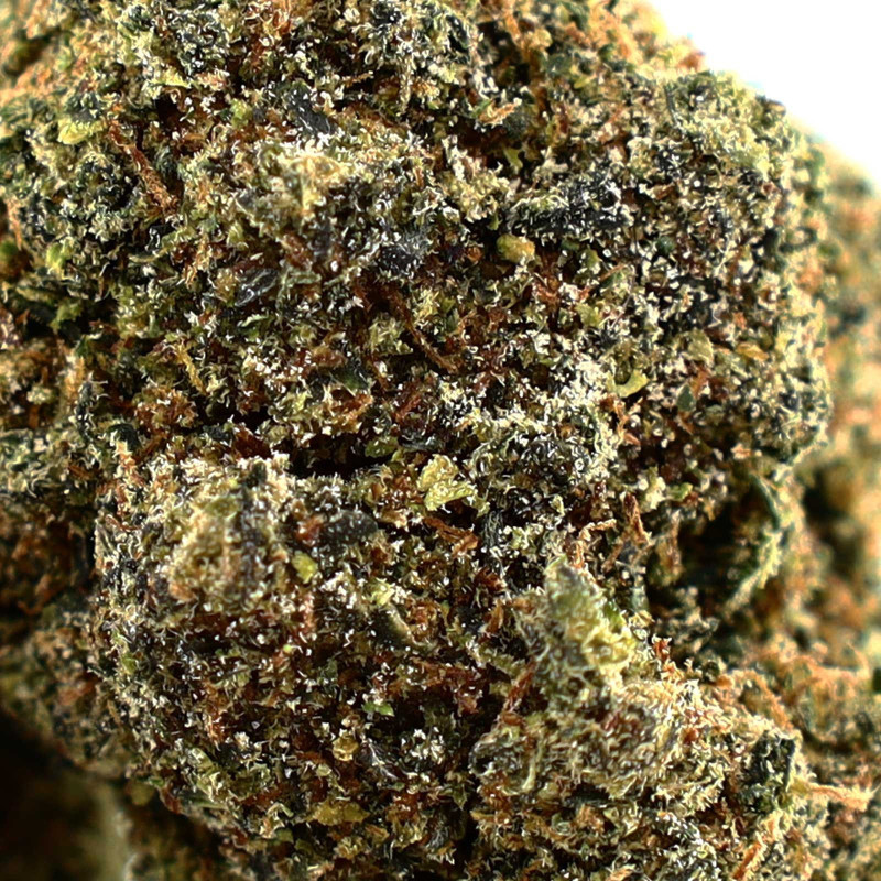 GELATTI INFUSED FLEUR COOKIES