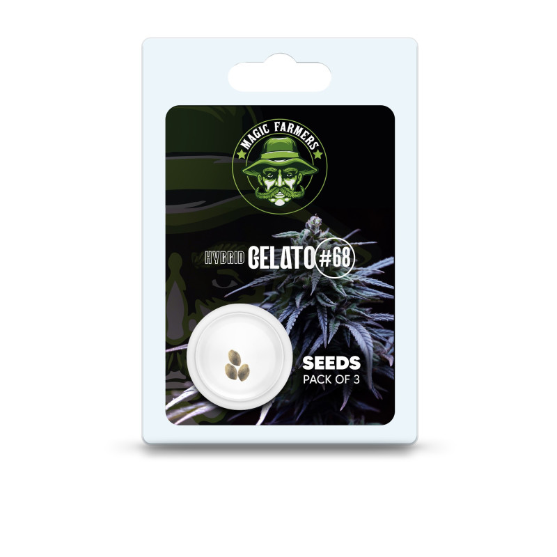 GELATO THC SEMINȚE