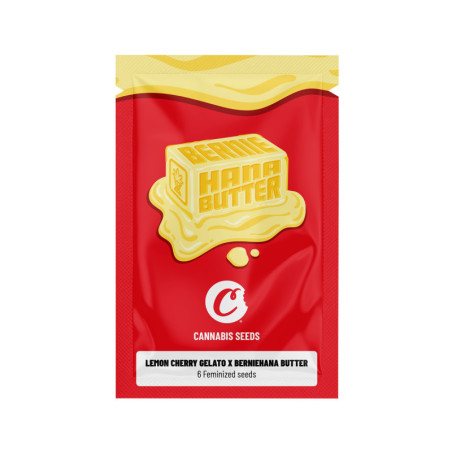 SEMINȚE FEMINIZATE LEMON CHERRY GELATO X BERNIEHANA BUTTER COOKIES® (X6)