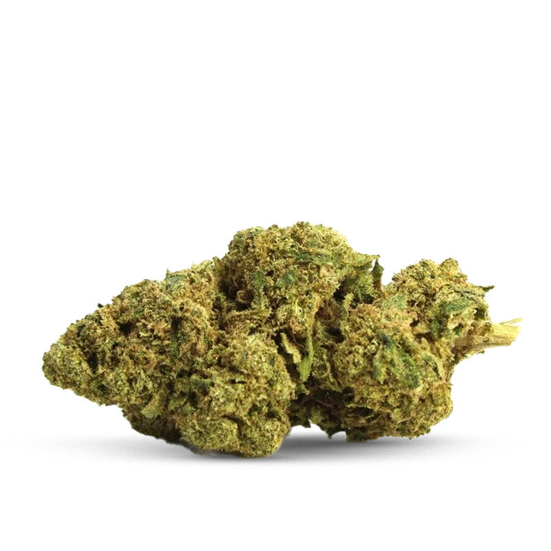 AMNESIA HAZE CBG FLOARE