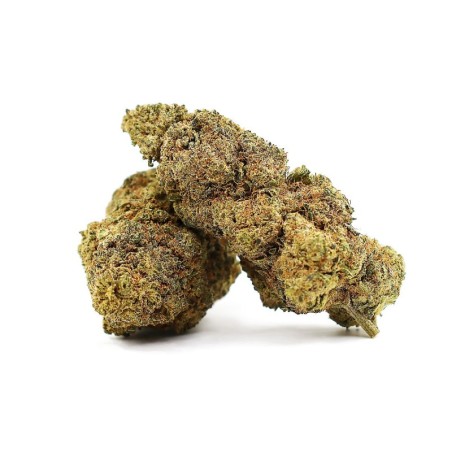 JAPANESE PEACH FLOARE THCA - alt