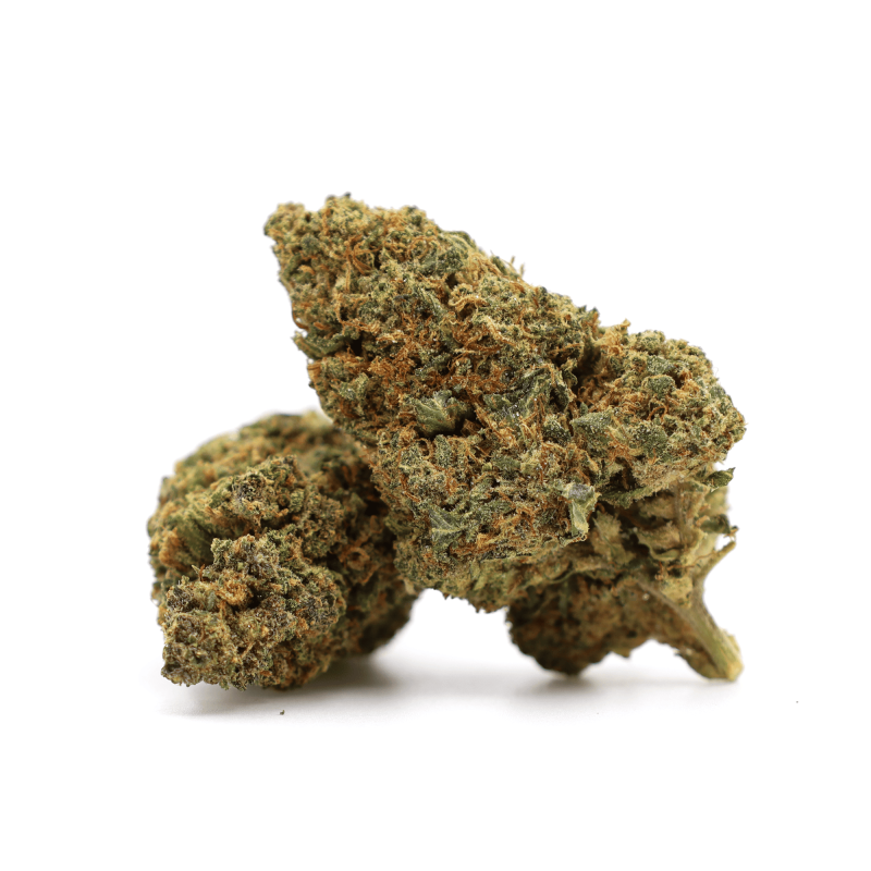 GELATO 41 FLOARE THCA