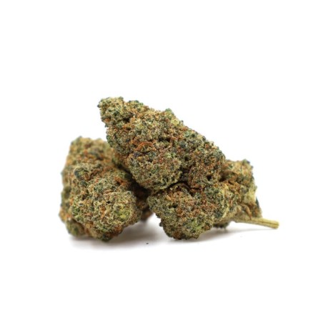 KING LOUIS FLOARE THCA - alt