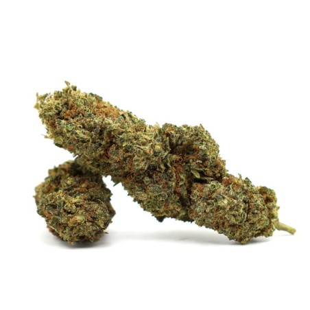 JEALOUSY FLOARE THCA - alt