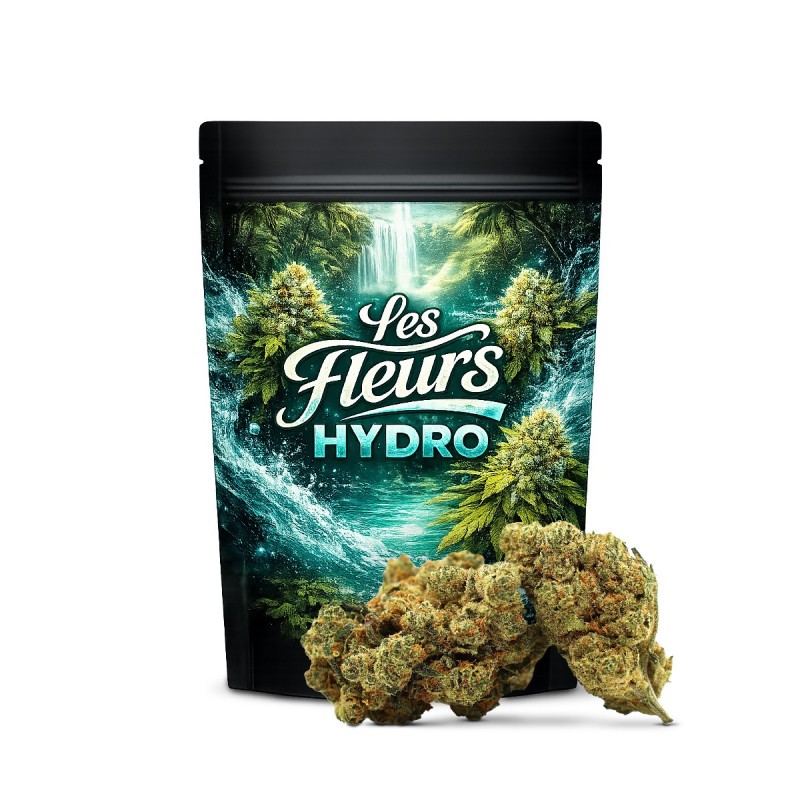 CHAMPAGNE HAZE FLOARE THCA
