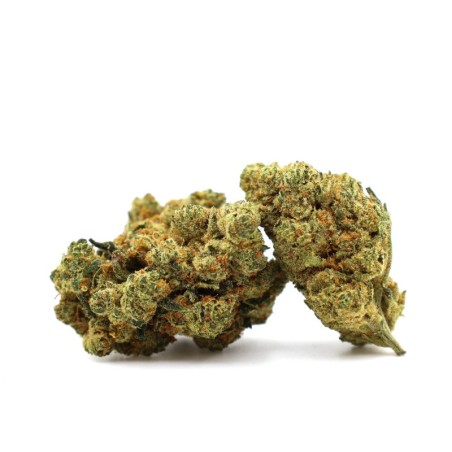 CHAMPAGNE HAZE FLOARE THCA - alt