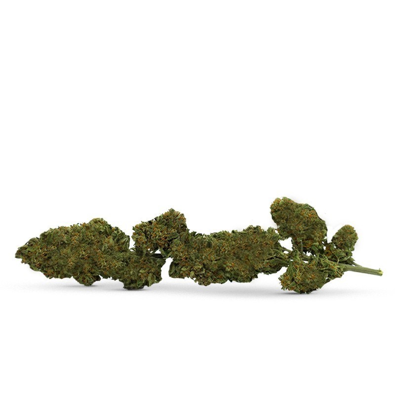 FLOARE CBD PE TULINĂ STRAWBERRY QUEEN
