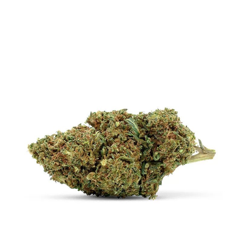 Wake And Bake 30% 10-OH+ | Floare Proaspătă & Energizantă
