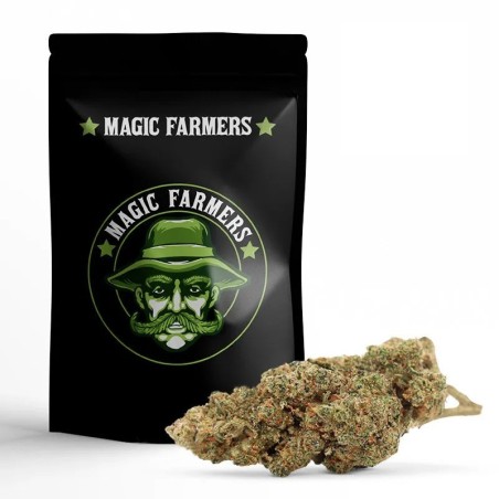 Weedy Wonka 10-OH+ | Floare Premium Relaxantă