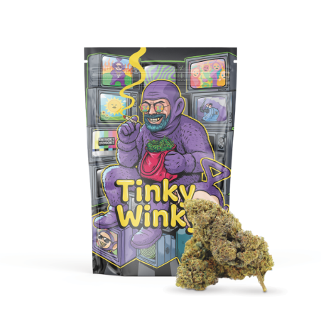 TINKY WINKY 50% MAGIC SAUCE FLOARE