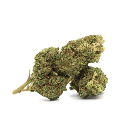 B52 30% FLOARE 10-OH+ - alt