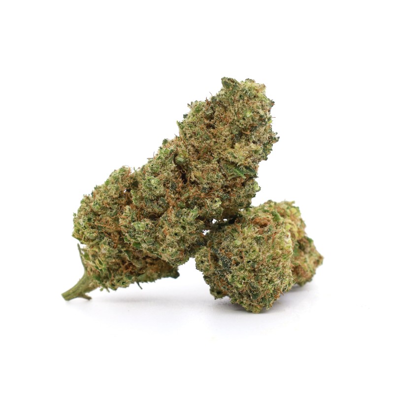 Hot Saigon 30% 10-OH+ | Floare Premium Intensă