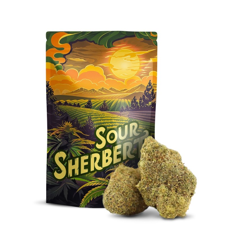 Sour Sherbert 10-OH+ | Floare Relaxantă Premium