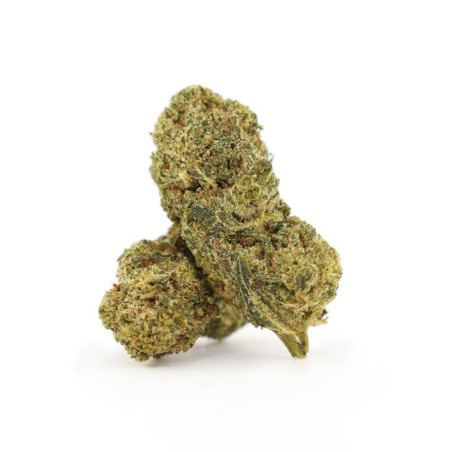 FLYING DUTCHMAN FLOARE THCA - alt
