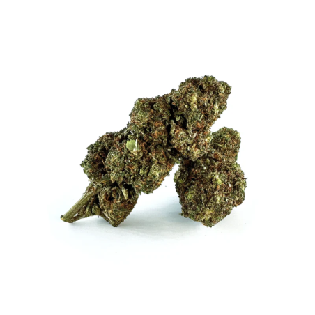 MELONADE FLOARE THCA - alt