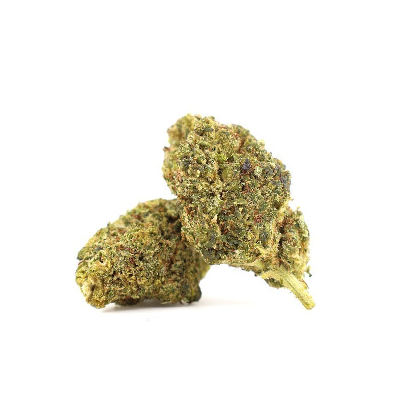 PANNA COTTA FLEUR THCA