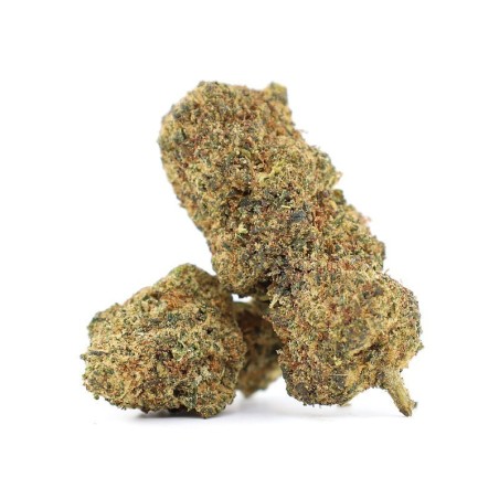 EL MAGNIFICO FLOARE THCA - alt