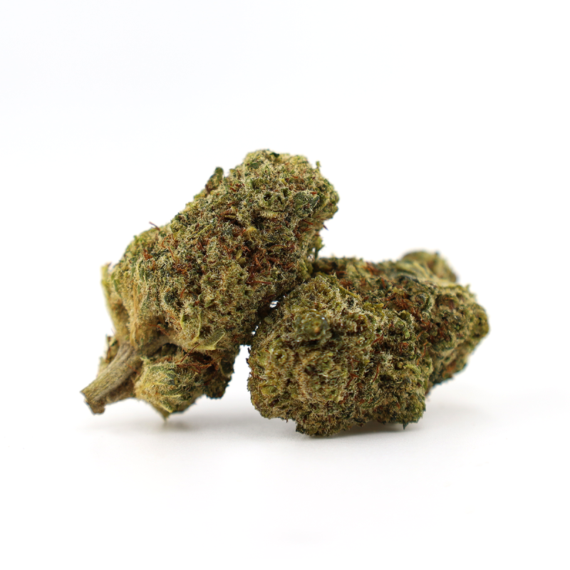 GODZILLA PUNCH FLOARE THCA