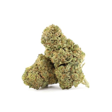 DIDDY'S LOTION FLOARE THCA - alt