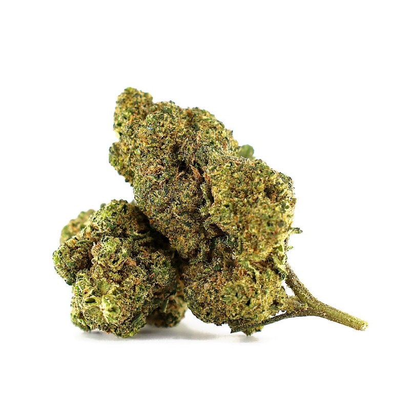 WHITE CHOCO SKITTLEZ FLOARE THCA