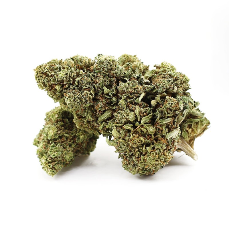 GRAPE ZENZU FLOARE THCA