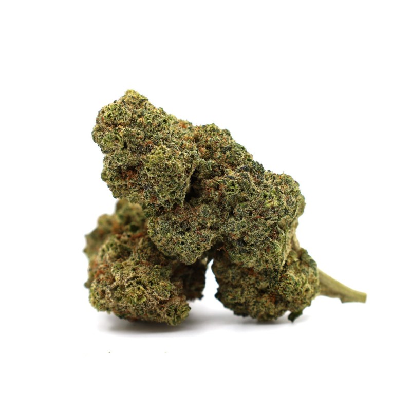 GAZ CANDY FLOARE THCA