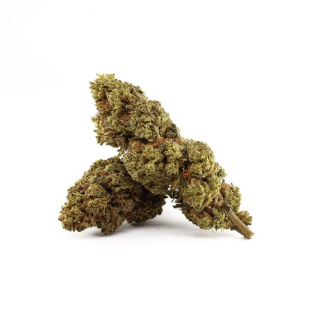LEMON VUITTON OG 30% FLOARE... - alt