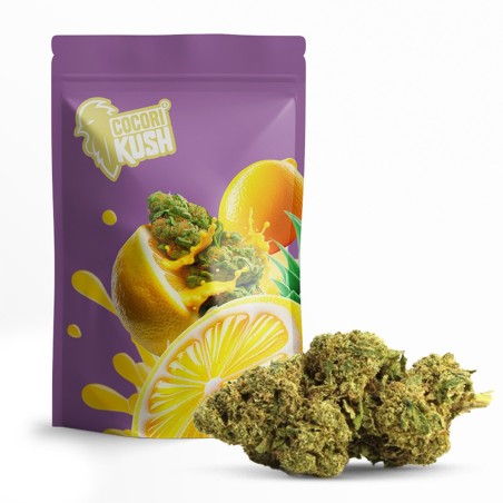 AMNESIA 50% FLOARE CBD