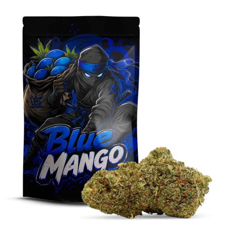 Blue Mango 10-OH+ | Floare Fructată & Relaxantă