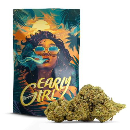 Early Girl 10-OH+ | Floare CBD Noua Generație