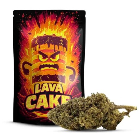 Lava Cake 30% 10-OH+ | Floare Gurmandă și Puternică