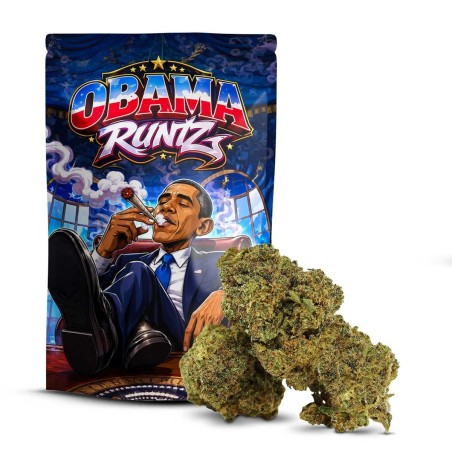 Obama Runtz DELTA 10 | Floare Premium cu Arome Fructate | Sixty8