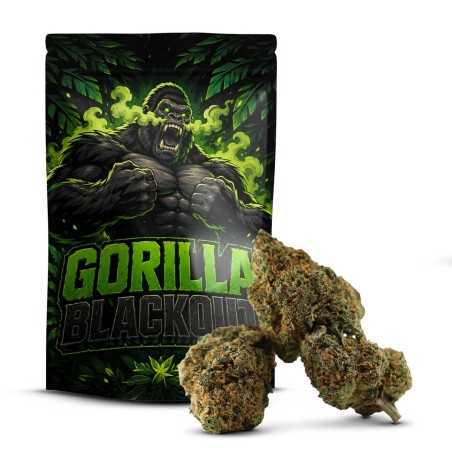 Gorilla Blackout 50% Delta 10 | Floare Premium Puternică | Sixty8