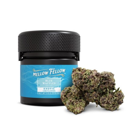 Blue Waffles CBD Mellow Fellow 3,5g | Sixty8