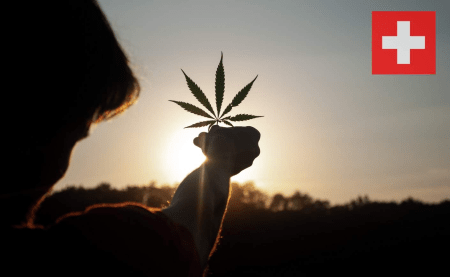 CBD Elveția: Este într-adevăr de o calitate atât de bună?