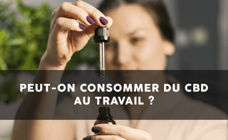 CBD și munca: sunt compatibile?