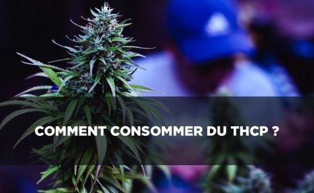 Consumul de THCP: Cum se face?