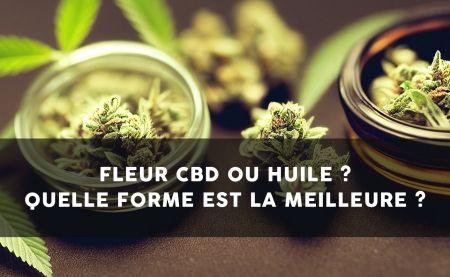 Flori de CBD sau ulei de canabidiol: cum să alegi?