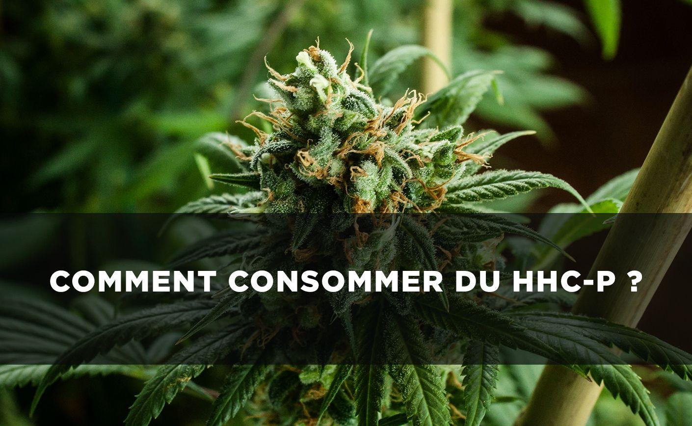 HHCP: Modalități de consum